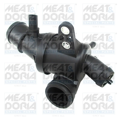 Thermostat, coolant